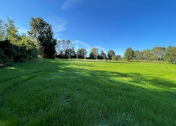 Terreno agricolo Via dei Boschi, Volta Mantovana - foto 11