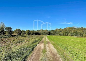 Terreno agricolo Via dei Boschi, Volta Mantovana - foto 13
