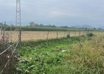 Terreno - Rustico Peveragno - foto 36
