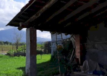 Giardino - Rustico Peveragno - foto 44