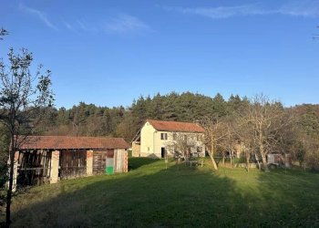 Cascina Dego - foto 2