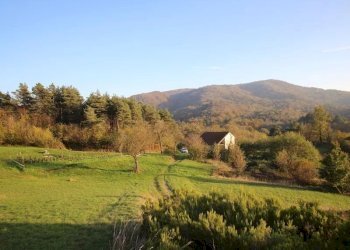 Cascina Dego - foto 24