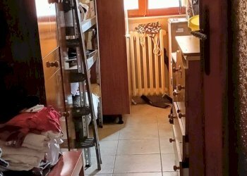 Casa indipendente dei sassi, Castellanza - foto 12