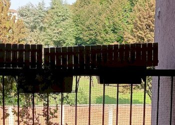 Trilocale Viale Gorizia, Legnano - foto 3