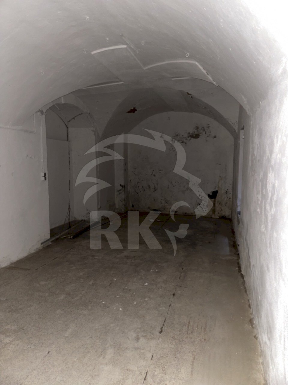 IMG_6432 - dimensioni grandi.jpeg - Magazzino Via dell'Indipendenza  67, Bologna - foto 1