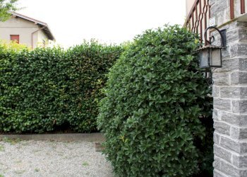 Villa Unifamiliare padella, Ispra - foto 5