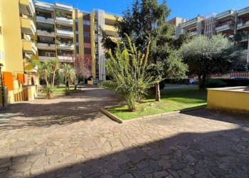 Quadrilocale via federico seismit doda, Roma (zona EUR) - foto 26