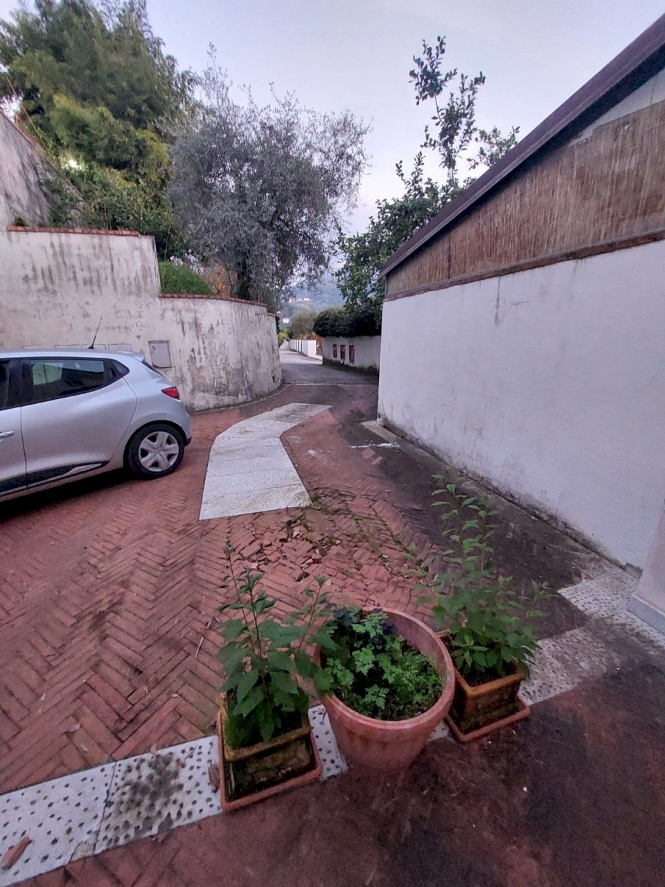 53b843a5-c8ca-4f2e-a03d-eb062ef7aa6a.JPG - Semi-detached house Via Cavour 15, Carrara - photo 3
