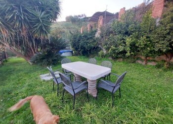 thumbnail_1fb73d70-c066-448c-95a3-6986febe29f6.jpg - Casa semi indipendente Via Cavour 15, Carrara - foto 27