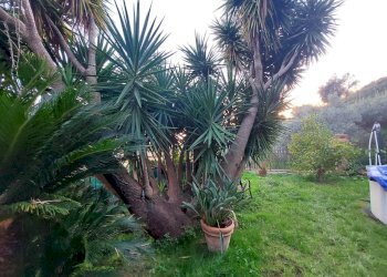 thumbnail_94dfb9ff-bfd9-415e-97b7-baa7487964cc.jpg - Casa semi indipendente Via Cavour 15, Carrara - foto 30