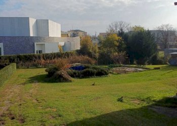 WhatsApp Image 2024-11-14 at 10.36.45.jpeg - Trilocale Varano de' Melegari - foto 5