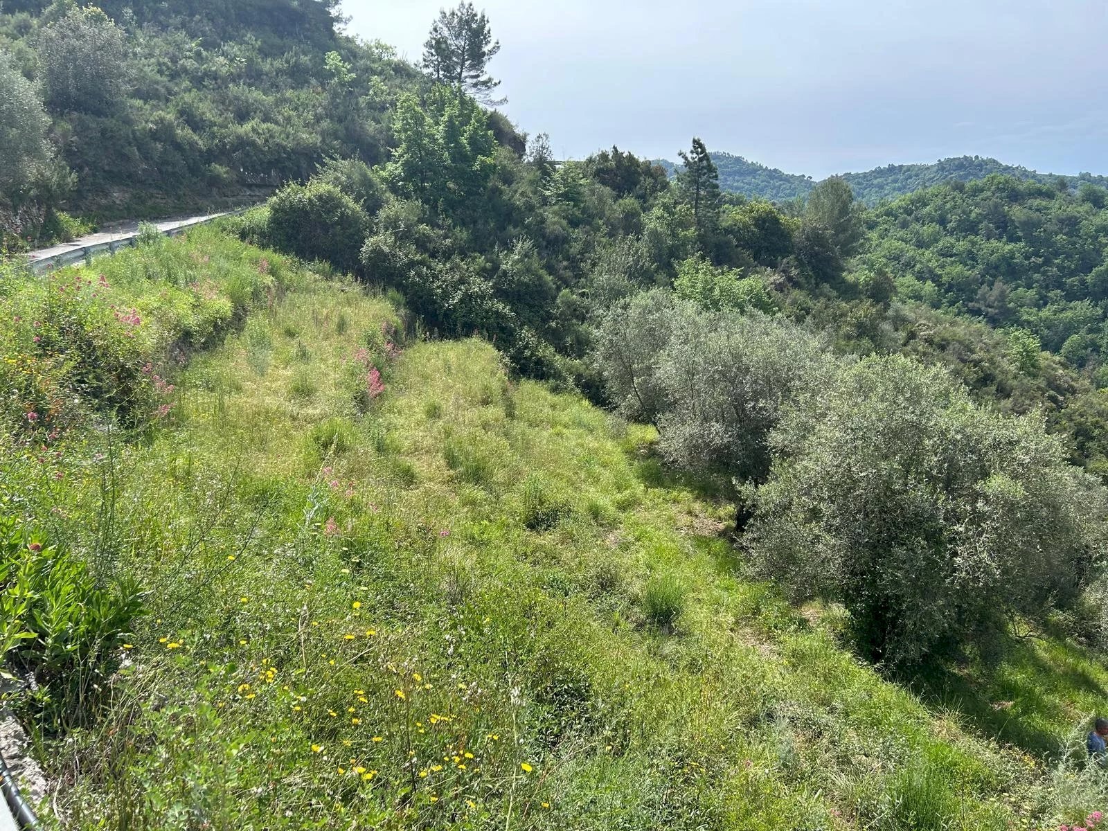 Casale Frazione Verrandi, Ventimiglia - foto 1