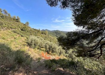 Casale Frazione Verrandi, Ventimiglia - foto 4