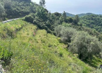 Casale Frazione Verrandi, Ventimiglia - foto 1