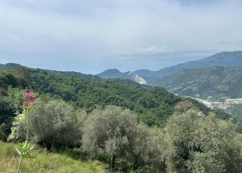 Casale Frazione Verrandi, Ventimiglia - foto 10