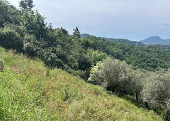 Casale Frazione Verrandi, Ventimiglia - foto 11