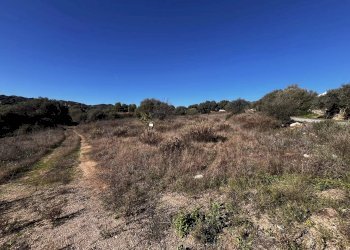 Terreno edificabile Budoni - foto 1