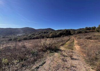 Terreno edificabile Budoni - foto 3
