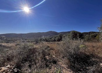 Terreno edificabile Budoni - foto 5