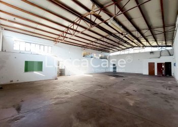Shed Zone - photo 2