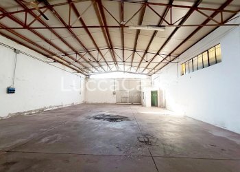 Shed Zone - photo 4