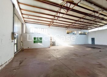 Shed Zone - photo 5