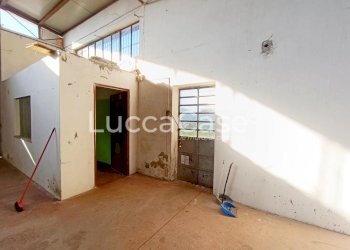 Shed Zone - photo 6