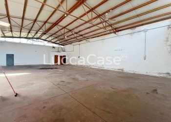 Shed Zone - photo 7