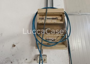 Shed Zone - photo 9