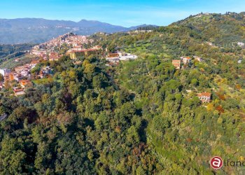 Villa Unifamiliare Via Colle di Giano, Olevano Romano - foto 10