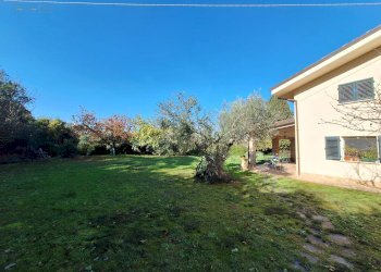 Rustic Sant'Egidio, Ripatransone - photo 4