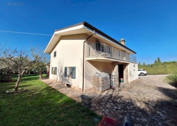 Rustic Sant'Egidio, Ripatransone - photo 5