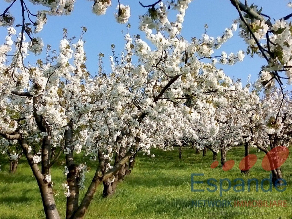 Magazzino Valsamoggia - foto 1