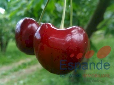 Magazzino Valsamoggia - foto 2