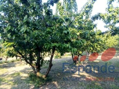 Magazzino Valsamoggia - foto 3