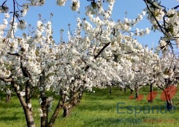 Magazzino Valsamoggia - foto 1
