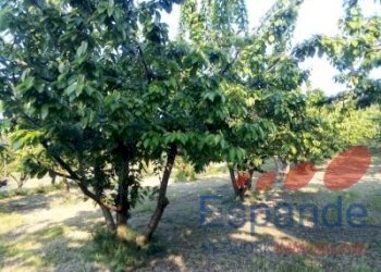 Magazzino Valsamoggia - foto 3