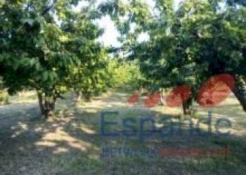 Magazzino Valsamoggia - foto 5