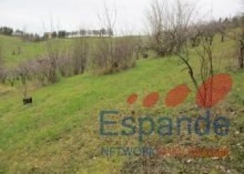 Magazzino Valsamoggia - foto 6