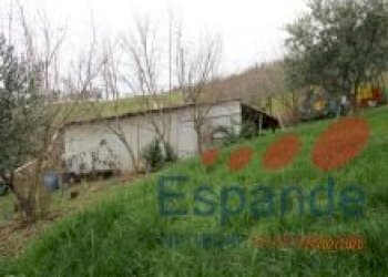 Magazzino Valsamoggia - foto 7