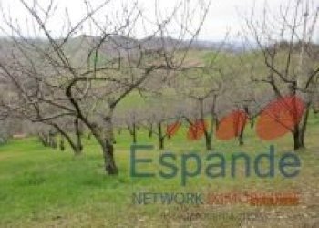 Magazzino Valsamoggia - foto 8