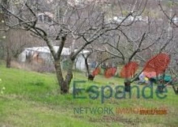 Magazzino Valsamoggia - foto 9