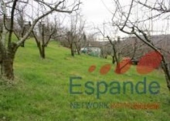 Magazzino Valsamoggia - foto 10