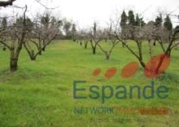 Magazzino Valsamoggia - foto 11