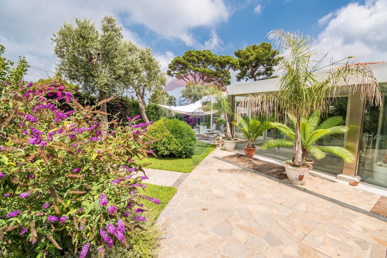 Locale Commerciale Sorrento - foto 3