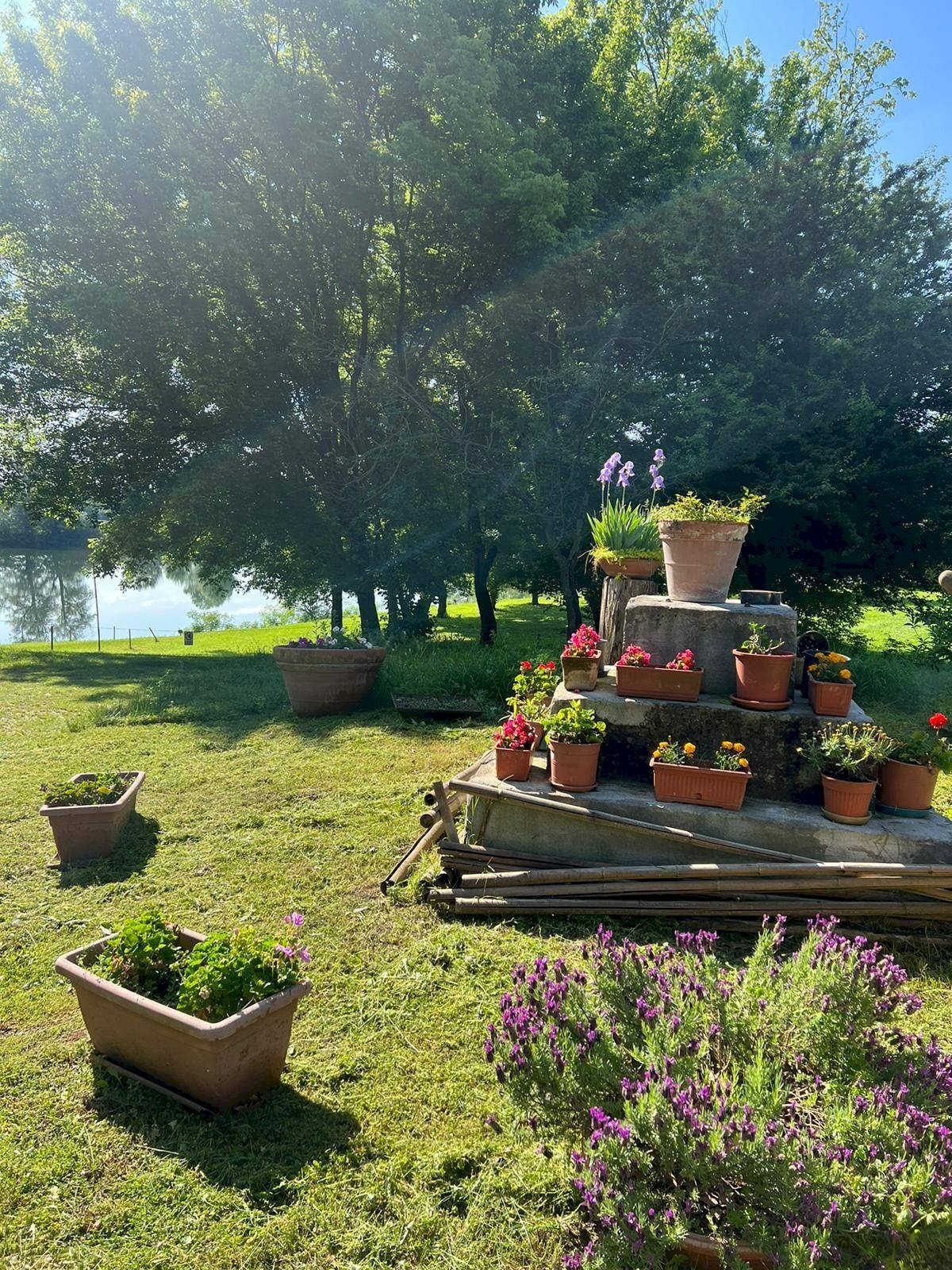 Rustic Strada dell'Asino, Carignano - photo 2