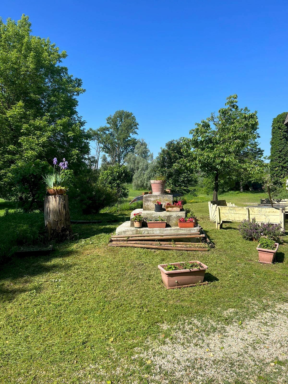 Rustic Strada dell'Asino, Carignano - photo 3