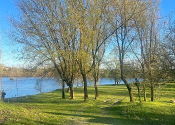 Rustico Strada dell'Asino, Carignano - foto 4