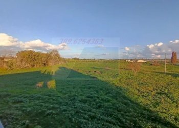 terreno - Villa Traversa Case Bianche, Siracusa - foto 25