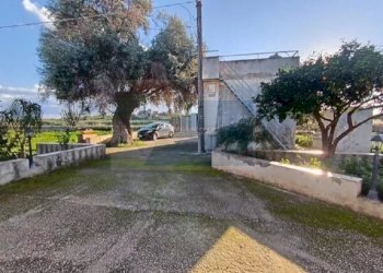 cortile - Villa Traversa Case Bianche, Siracusa - foto 26